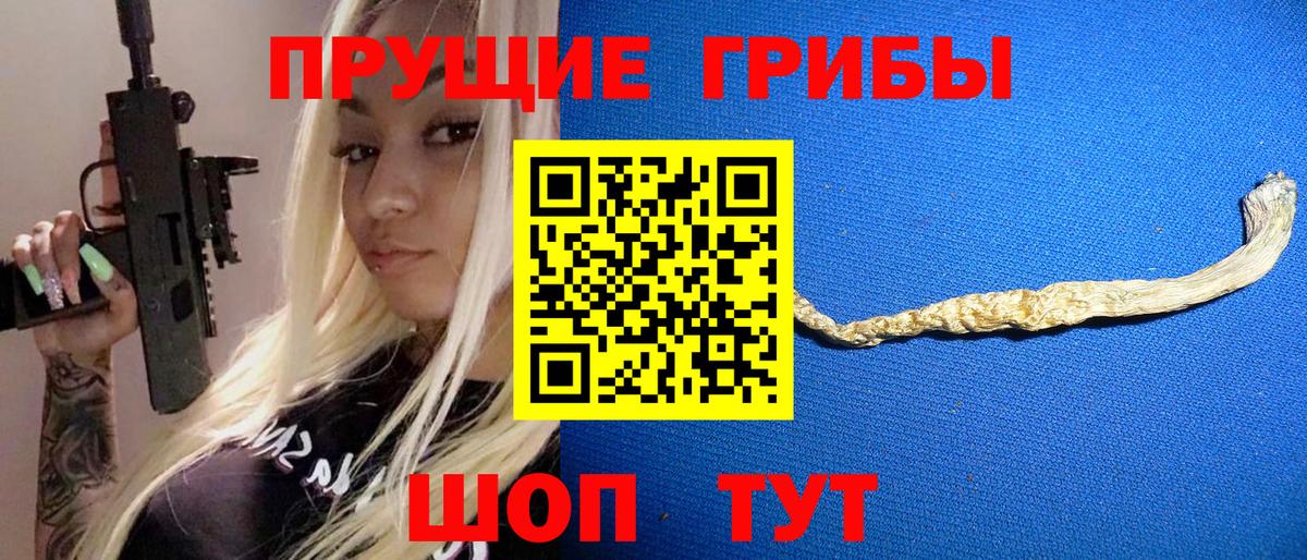 Фрязино  Псилоцибиновые грибы Cubensis  Вход с VPN 