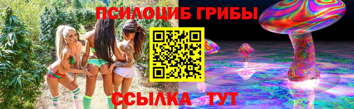 Псилоцибиновые грибы Magic Shrooms Фрязино